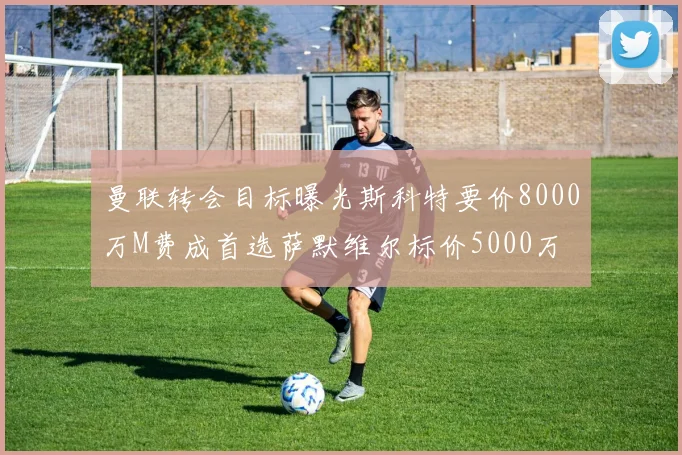 曼联转会目标曝光斯科特要价8000万M费成首选萨默维尔标价5000万