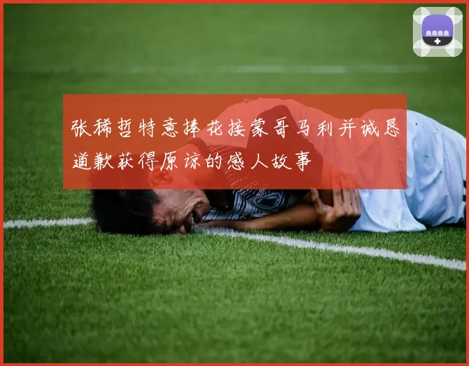 张稀哲特意捧花接蒙哥马利并诚恳道歉获得原谅的感人故事
