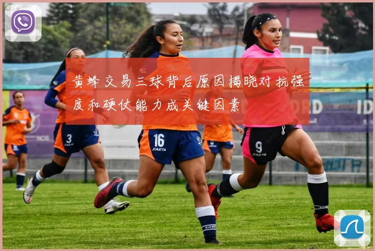 黄蜂交易三球背后原因揭晓对抗强度和硬仗能力成关键因素